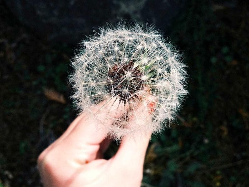 New-build studio steps from Diagonal — photo 1